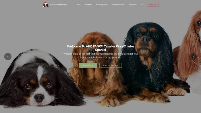 Akcfancycavaliers.com - Cavalier King Charles Spaniel Puppy Scam Review