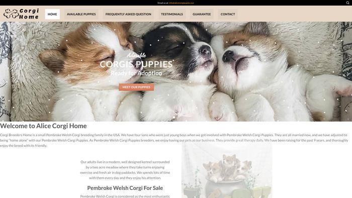 Alicecorgipupies.xyz - Corgi Puppy Scam Review