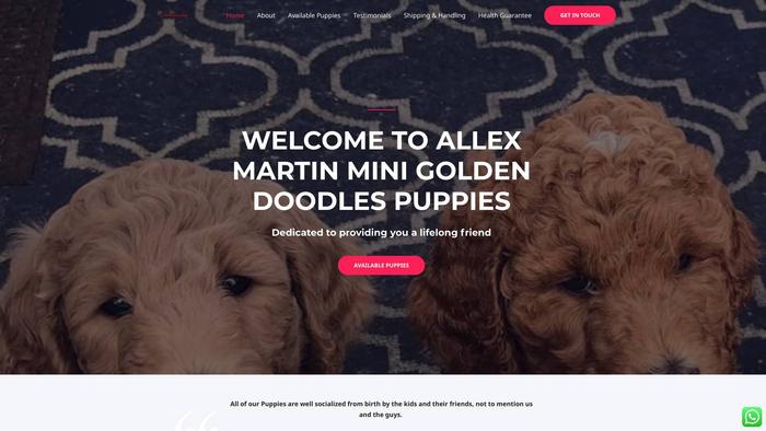 Allexmartinsgoldendoodles.biz - Golden Doodle Puppy Scam Review