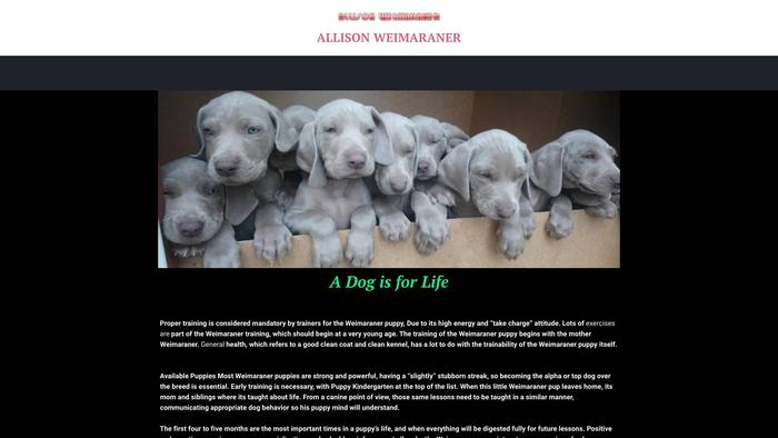 Allisonweimaraner.com - Weimaraner Puppy Scam Review