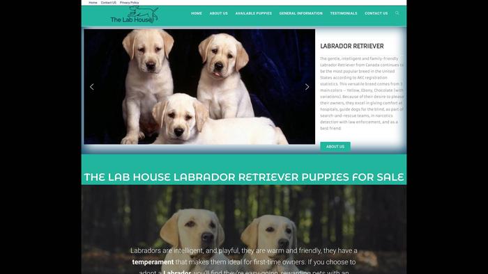 Amazing-labradorretriever.com - Golden Retriever Puppy Scam Review