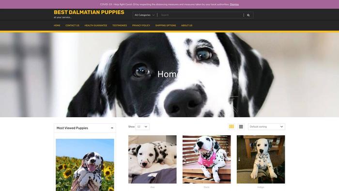 Amazingbullterrierpuppies.com - Terrier Puppy Scam Review