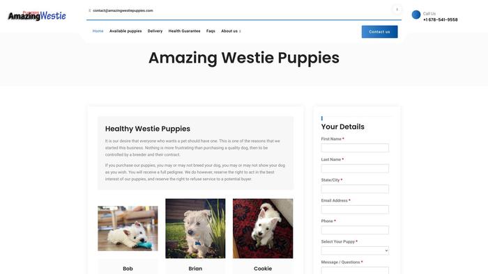 Amazingwestiepuppies.com - Terrier Puppy Scam Review