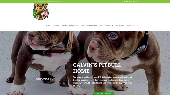 Americanpitbullbullies.com - Pit Bull Puppy Scam Review