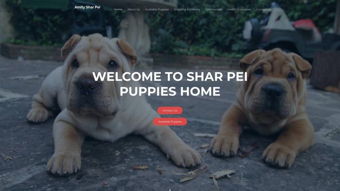 Amitysharpei.com - Sharpei Puppy Scam Review