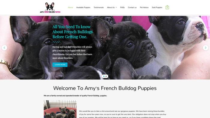 Amysfrenchbulldogpuppies.com - English Bulldog Puppy Scam Review