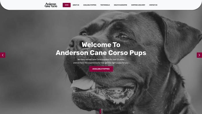 Andersoncanecorsopups.com - Cane Corso Puppy Scam Review