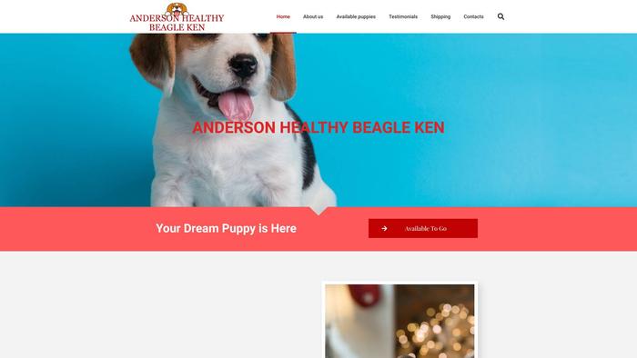 Andersonhealthybeagleken.com - Beagle Puppy Scam Review