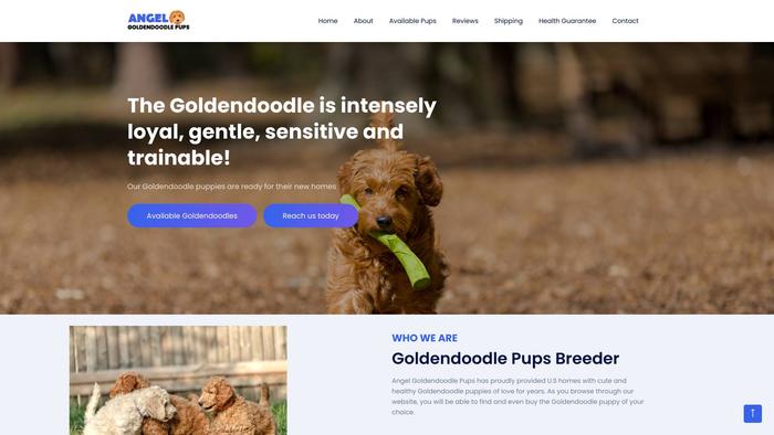 Angelgoldendoodlepups.com - Golden Doodle Puppy Scam Review