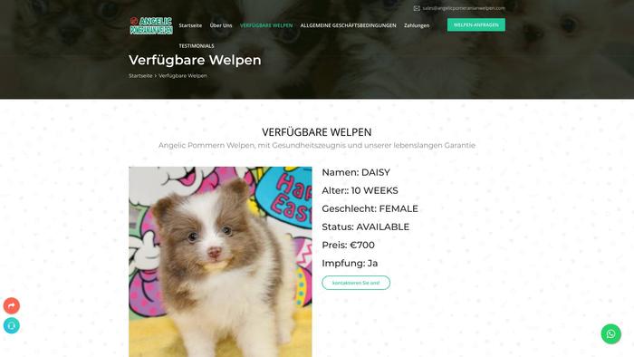 Angelicpomeranianwelpen.com - Pomeranian Puppy Scam Review