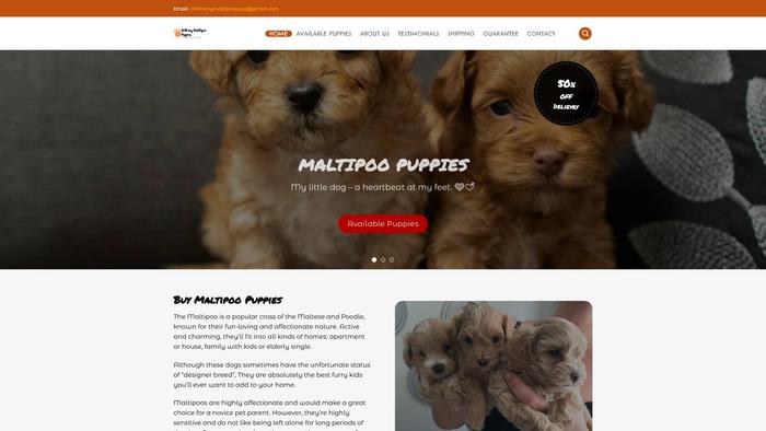 Anthonymaltipoopups.com - Maltipoo Puppy Scam Review