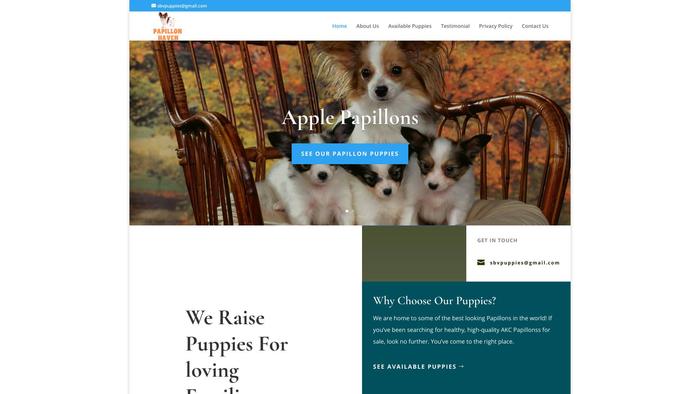 Applepapillons.com - Papillon Puppy Scam Review