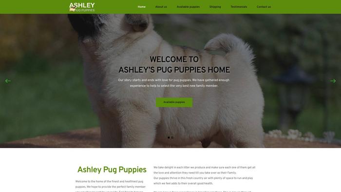 Ashleypugpuppies.com - Dachshund Puppy Scam Review