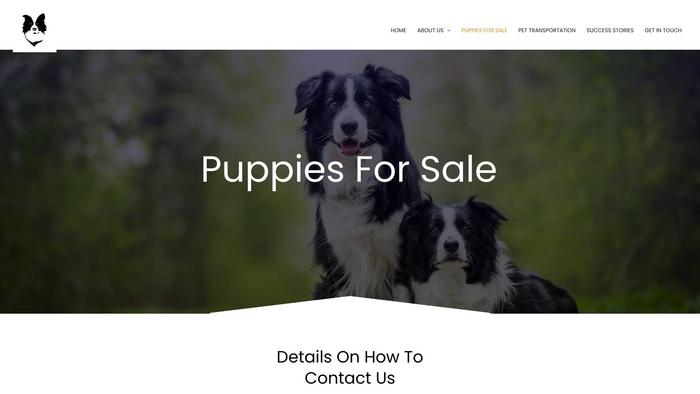 Atlanticbordercollies.com - Bordercollie Puppy Scam Review