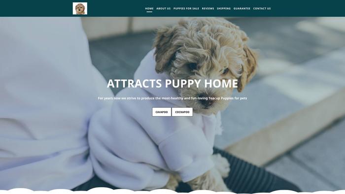 Attractspuppyhome.com - Cavapoo Puppy Scam Review