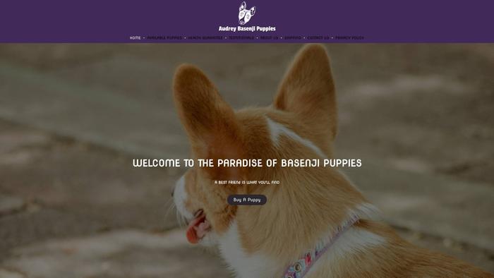 Audreybasenjipuppies.com - Basenji Puppy Scam Review