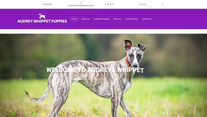 Audreywhippetpuppies.com - Whippet Puppy Scam Review