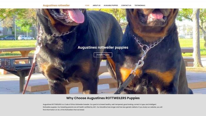 Augustinesrottweilerpuppiesforsale.store - Rottweiler Puppy Scam Review