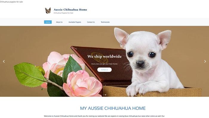 Aussichihuahuahome.com - Chihuahua Puppy Scam Review