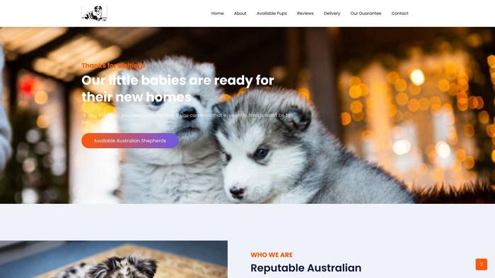 Aussielifesstyle.com - Australian Shepherd Puppy Scam Review