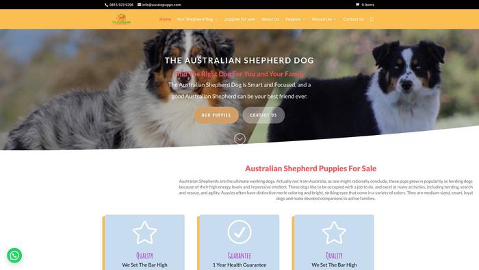 Aussiepupps.com - Australian Shepherd Puppy Scam Review