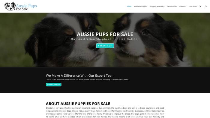 Aussiepupsforsale.com - Australian Shepherd Puppy Scam Review