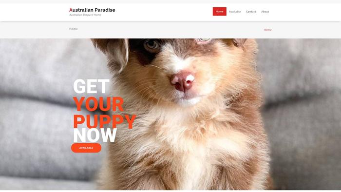 Australianparadise.com - Australian Shepherd Puppy Scam Review