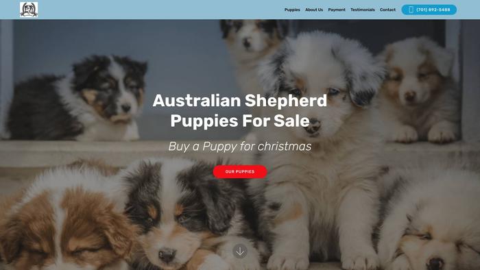 Australiansheperdpuppies.com - Australian Shepherd Puppy Scam Review