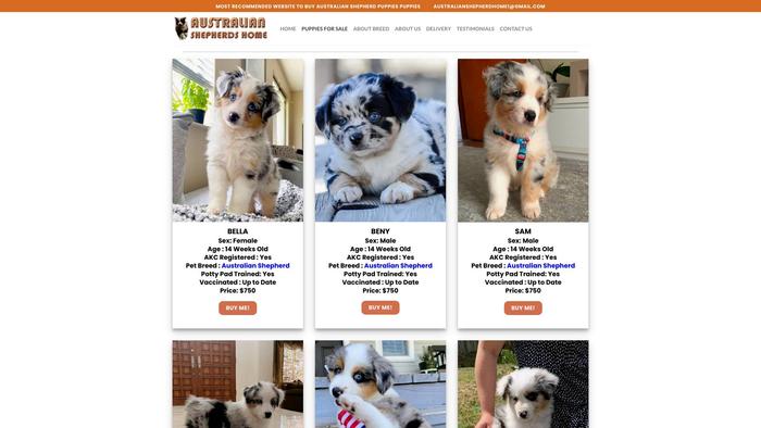 Australianshepherdshome.com - Germanshepherd Puppy Scam Review