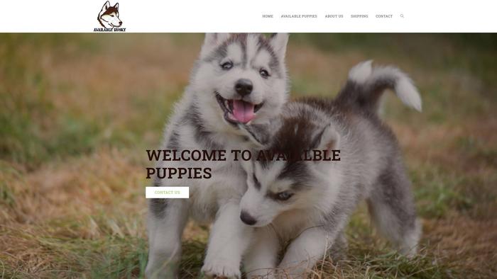 Availablehusky.com - Husky Puppy Scam Review