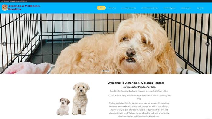 Awpoodle.com - Poodle Puppy Scam Review