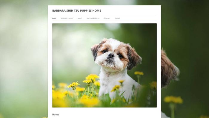 Barbarashihtzuhome.com - Shihtzu Puppy Scam Review