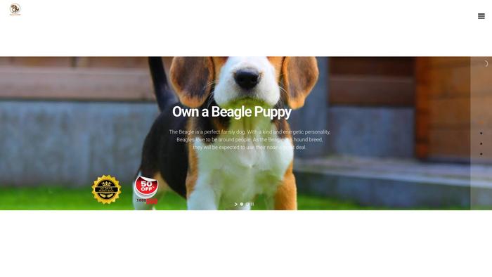 Beaglebreeder.store - Beagle Puppy Scam Review