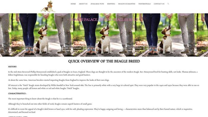 Beaglepalace.com - Beagle Puppy Scam Review