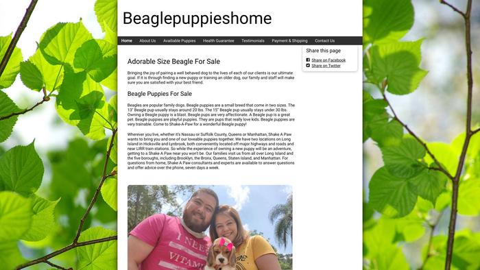 Beaglepuppieshome.com - Beagle Puppy Scam Review