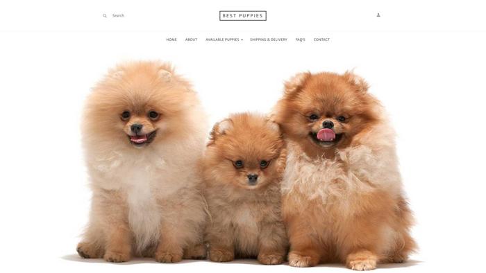 Best-puppies.net - Pomsky Puppy Scam Review