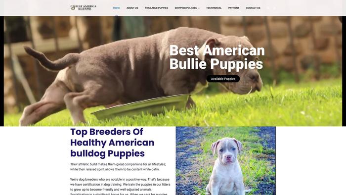 Bestamericanbulliepuppies.com - Pit Bull Puppy Scam Review