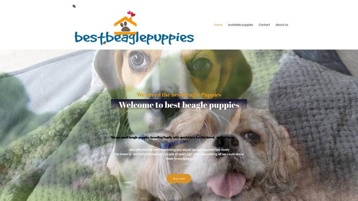 Bestbeaglepuppies.com - Beagle Puppy Scam Review