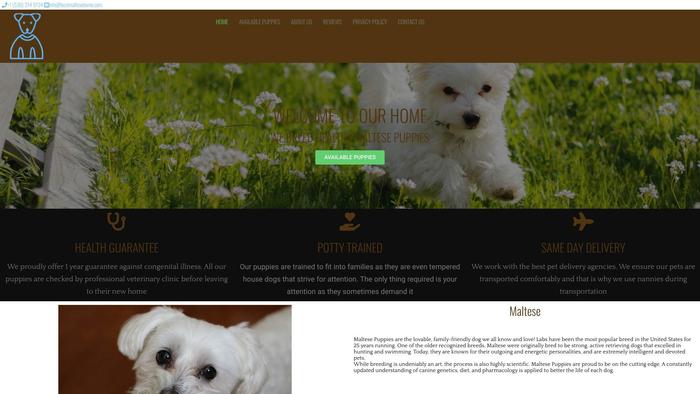 Bestmaltesehome.com - Maltese Puppy Scam Review