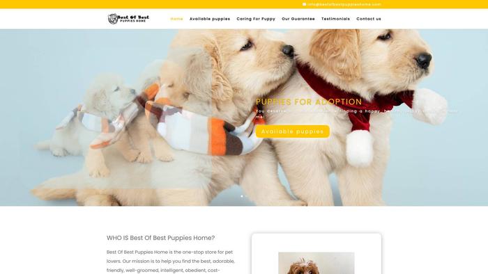 Bestofbestpuppieshome.com - Labrador Puppy Scam Review