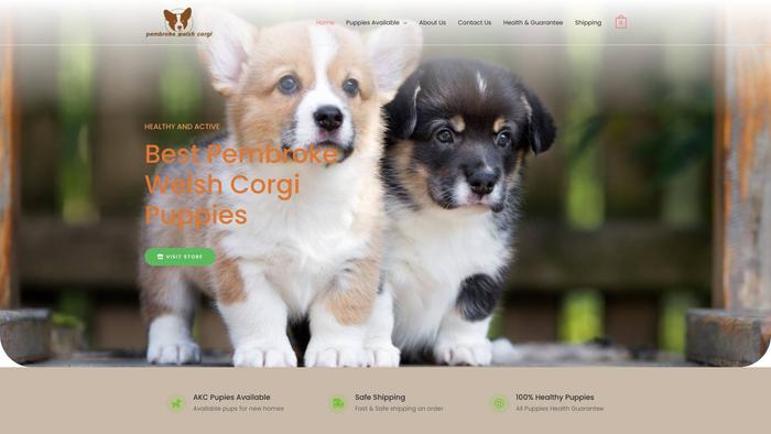 Bestpembrokewelshcorgipuppies.com - Corgi Puppy Scam Review