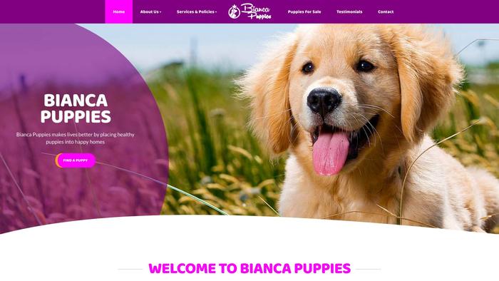 Biancapuppies.com - Schnauzer Puppy Scam Review