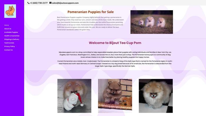 Bijouteacuppom.com - Yorkshire Terrier Puppy Scam Review