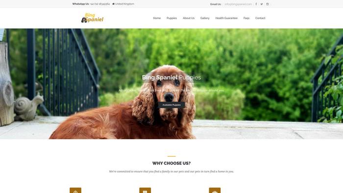 Bingspaniel.com - Cockerspaniel Puppy Scam Review