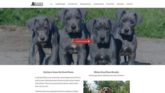 Blakesgreatdanepups.com - Great Dane Puppy Scam Review