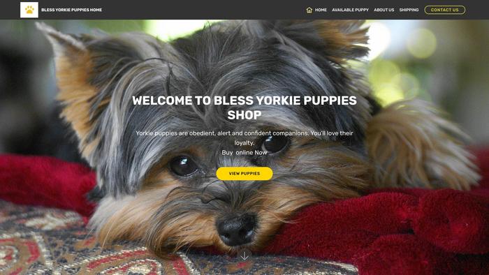 Blessyorkiehome.com - Yorkshire Terrier Puppy Scam Review