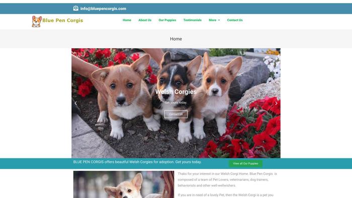 Bluepencorgis.com - Corgi Puppy Scam Review