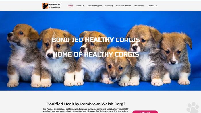 Bonifiedhealthycorgieshome.com - Corgi Puppy Scam Review