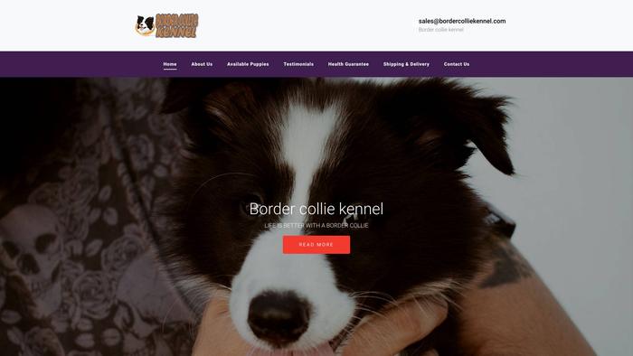 Bordercolliekennel.com - Bordercollie Puppy Scam Review