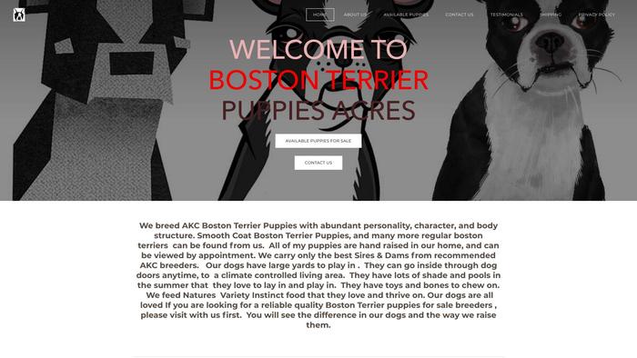 Bostonterrieracres.net - Boston Terrier Puppy Scam Review